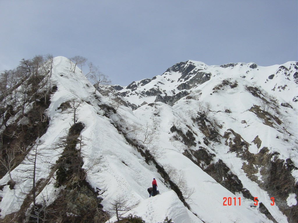 blog_import_54d2194f5ea65