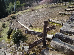 集落の中の道標